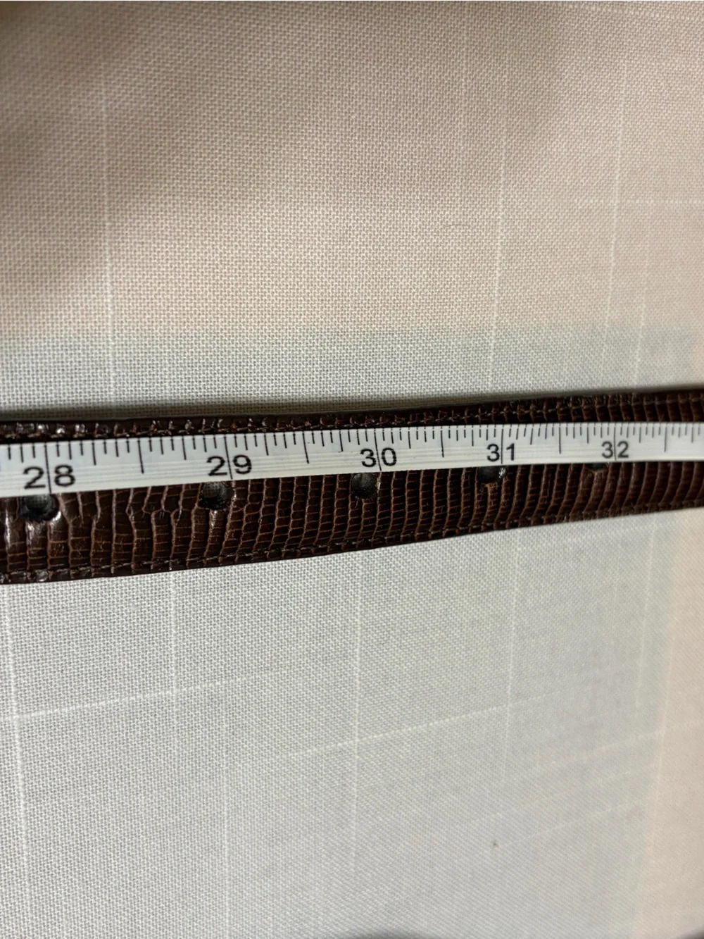 Brighton Brown reptile embossed silver hardware belt M/L waist 28”-32”